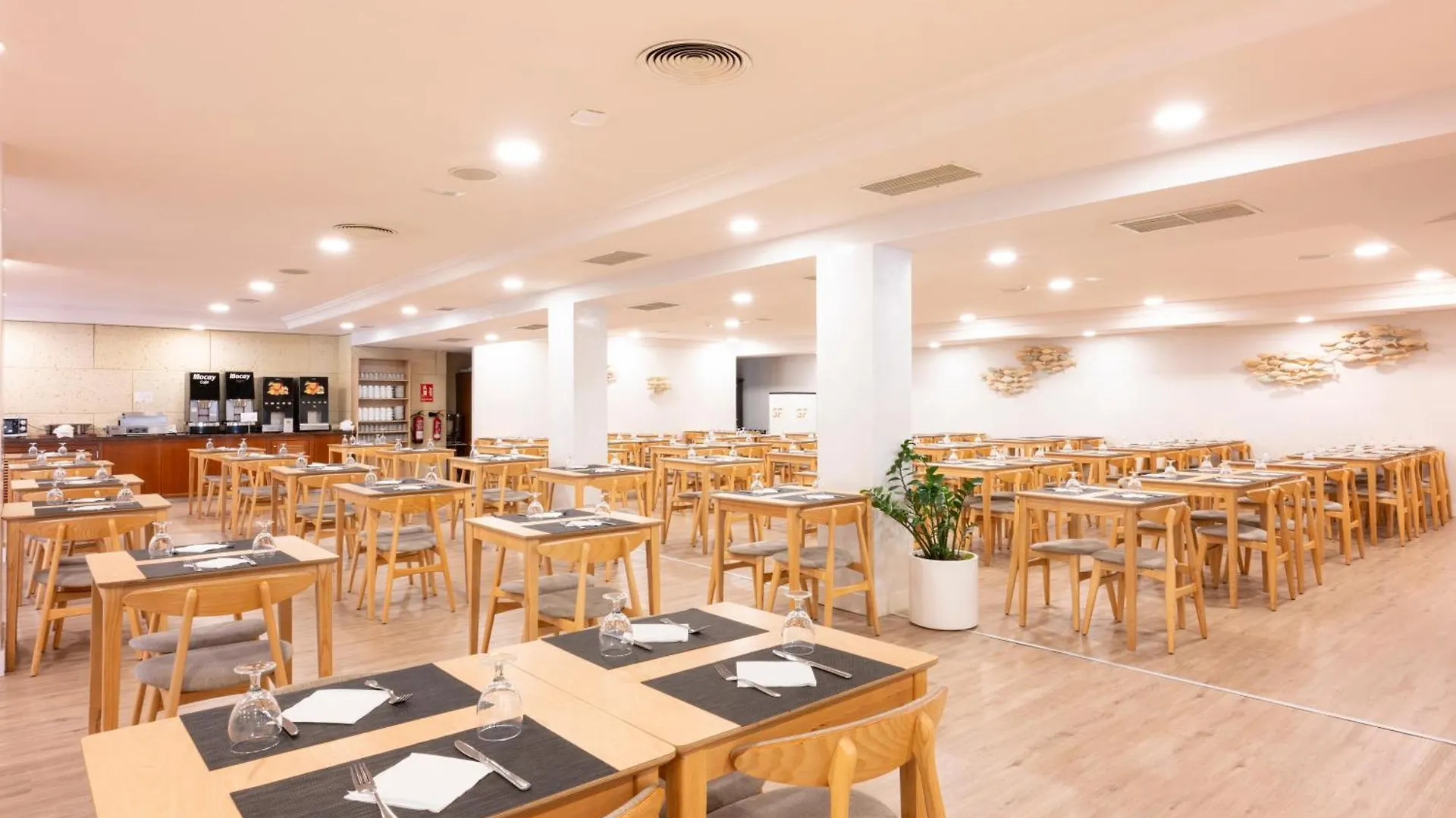 Aparthotel Gf Noelia Puerto de la Cruz  Puerto de la Cruz (Tenerife)